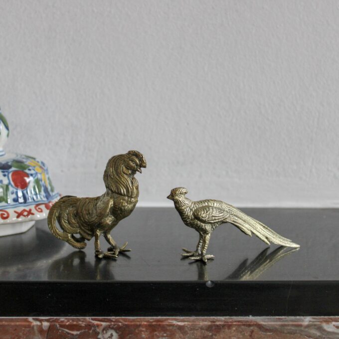 animals