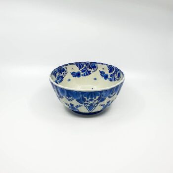DelftsBlauweSchaal