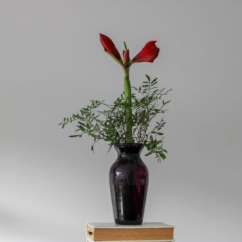 vase