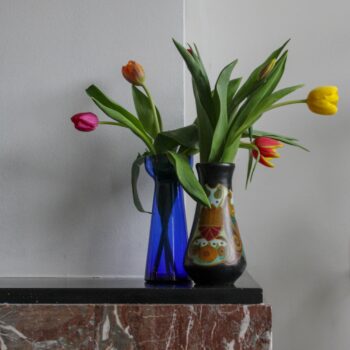 goudsplateel